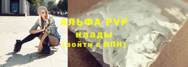шишки Ессентукская