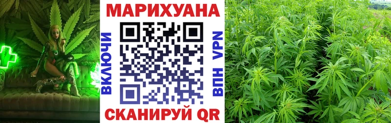 Каннабис OG Kush Куртамыш